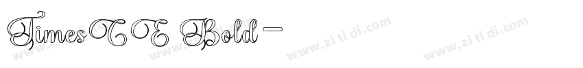 TimesCE Bold字体转换